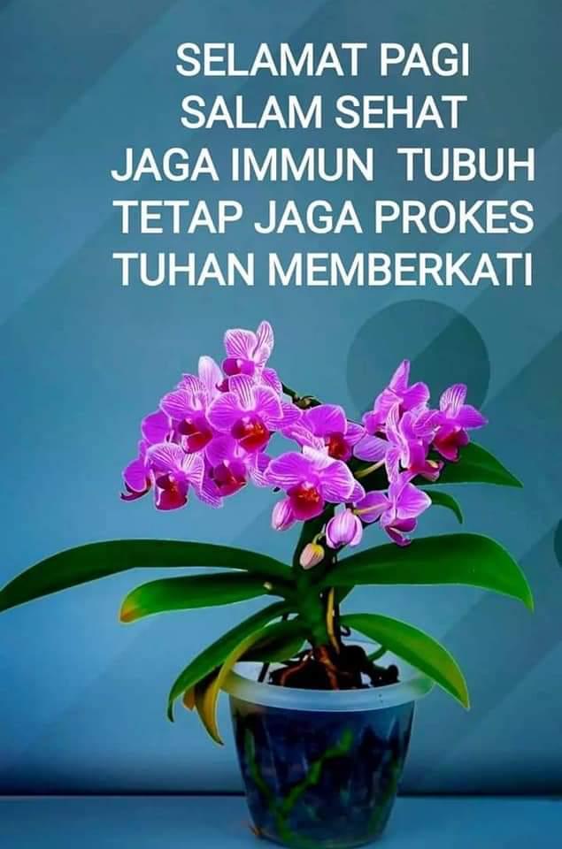 DPMK Kab Dogiyai (@kab_dpmk) on Twitter photo 