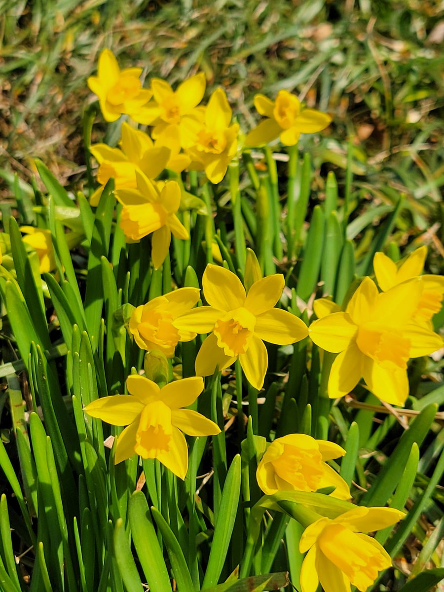 Caitlin Duffy tweet media