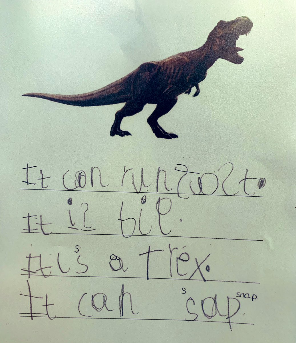 MissBWalker_x's tweet photo. Some of our writing about dinosaurs this week✏️🦖🌎  #primaryrocks #earlyyears #EY #EYtalk #literacy #edutwitter @Cornerstonesedu #dinosaurs #dictation #EYFS https://t.co/acKiJoLEoJ