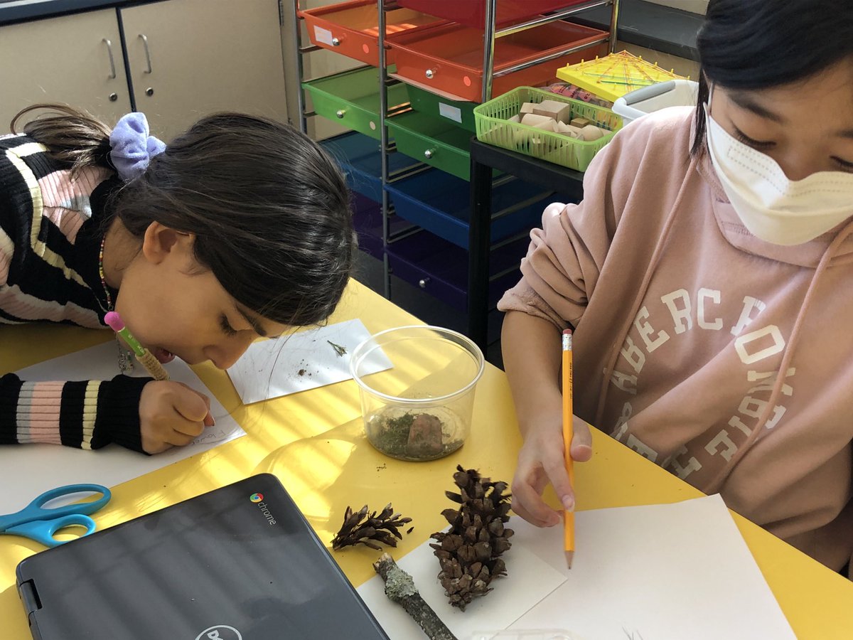 PV5thGrade's tweet photo. https://t.co/niBTPj1q83