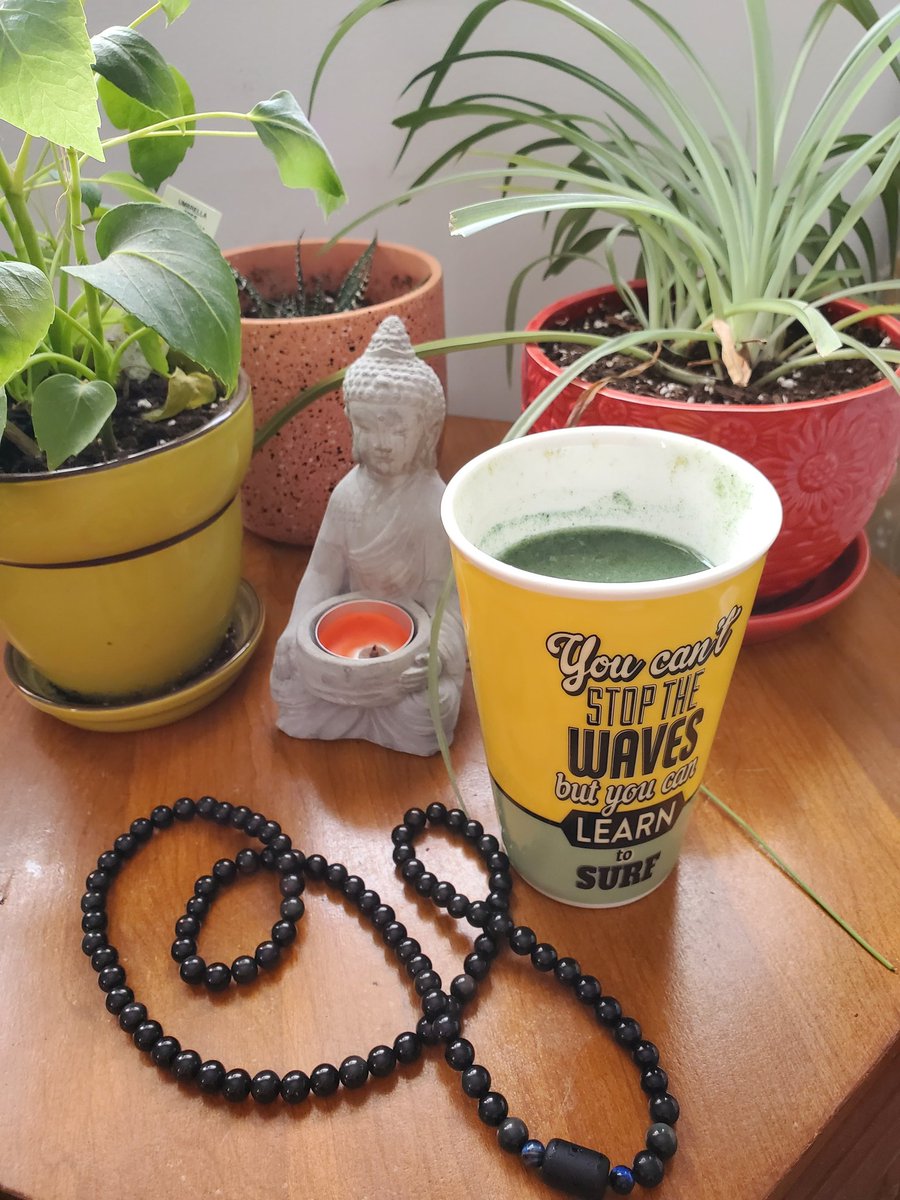 Daily Dose of Super Greens🌿🫑🍏

Gently detox the digestive system while getting in 8 Daily servings of fruits and veggies💚

DM for more Info💌

#tuesday #supergreens #entrepreneurlife #greens #healingjourney #healingcrystals #rainbowobsidian #plantlover #buddha