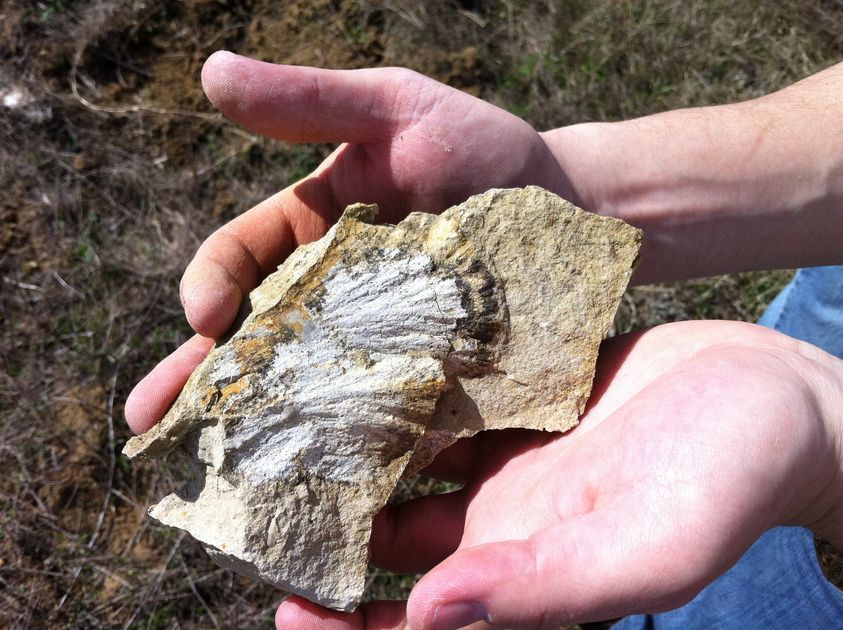 Martin_Suevite's tweet photo. @PeterBJames Marquez Dome shatter cones as in-your-face evidence for asteroid impact. They are truly spectacular (although the '#crater' landscape they occur in isn't). My hands, but photo by my friend David Rajmon. https://t.co/6D2F93WBut