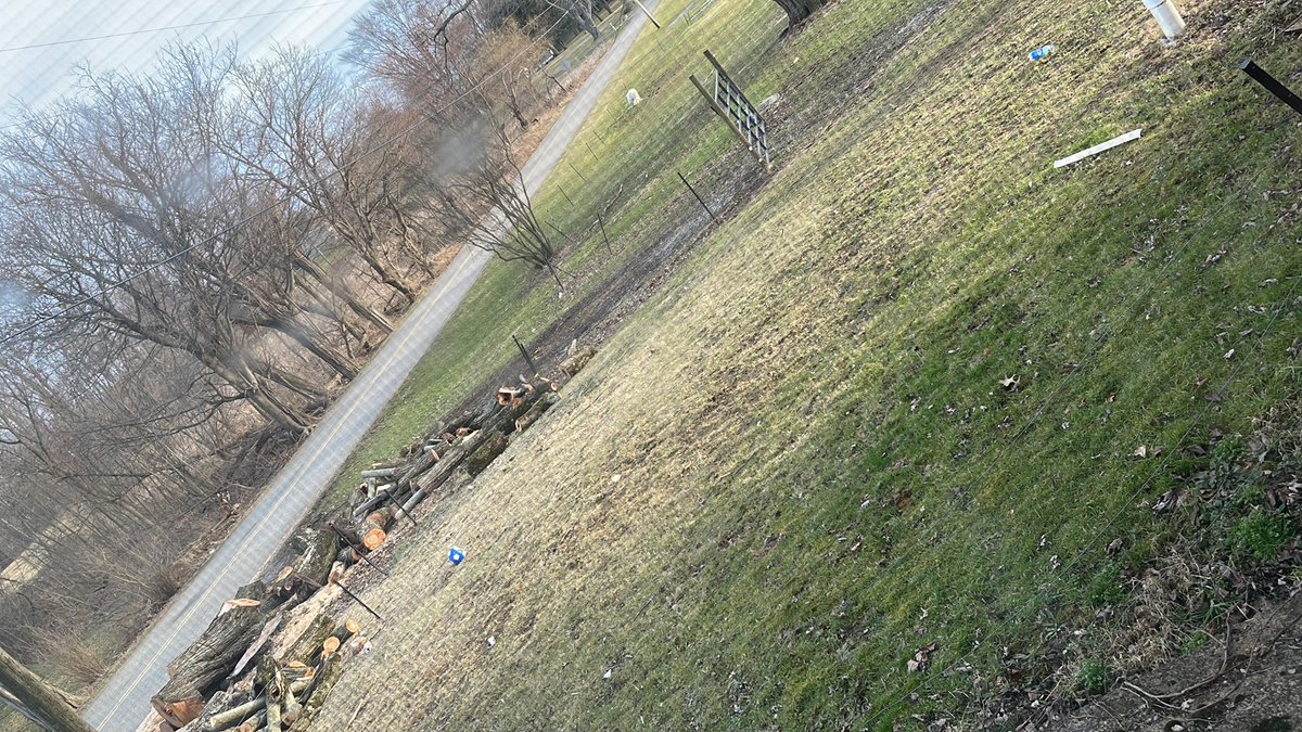 JeremyGraner's tweet photo. @penn_power your tree trimmers blocked my driveway, what the heck?! https://t.co/Xy0Zd0xxqU