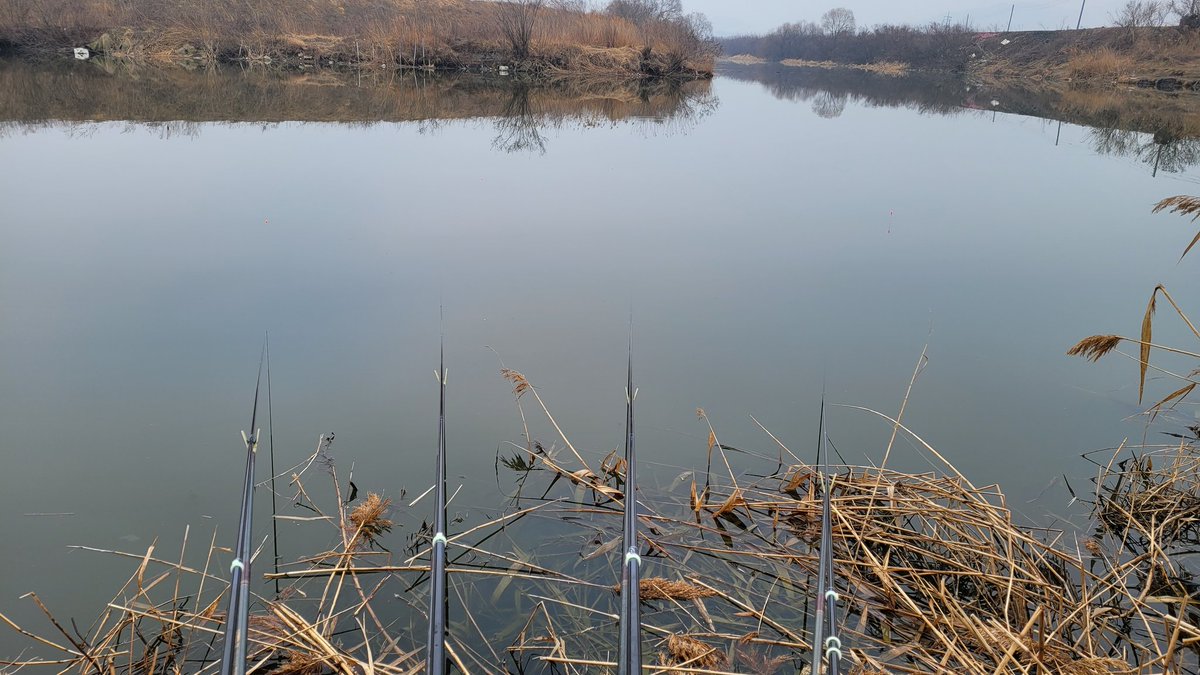 #평택호노양리수로

수면이 장판같다. 그리 춥지도 않아 본류에서 수로 상류로 올라올 것만 같은 붕어... 어서 오너라...