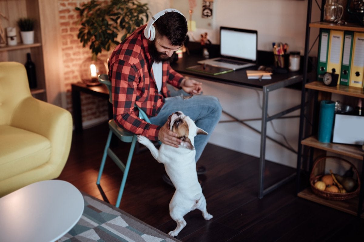 bobbycato's tweet photo. You may be wondering if you can claim a home office deduction on your upcoming tax return.

Bobby Cato
Realtor®, GREEN®
Licensed in DC, MD &amp; VA
RLAH Real Estate
cell: 202.643.7750
office: 202.518.8781
web: w... https://t.co/e9plKMyFnN https://t.co/B7Ly78OW7K