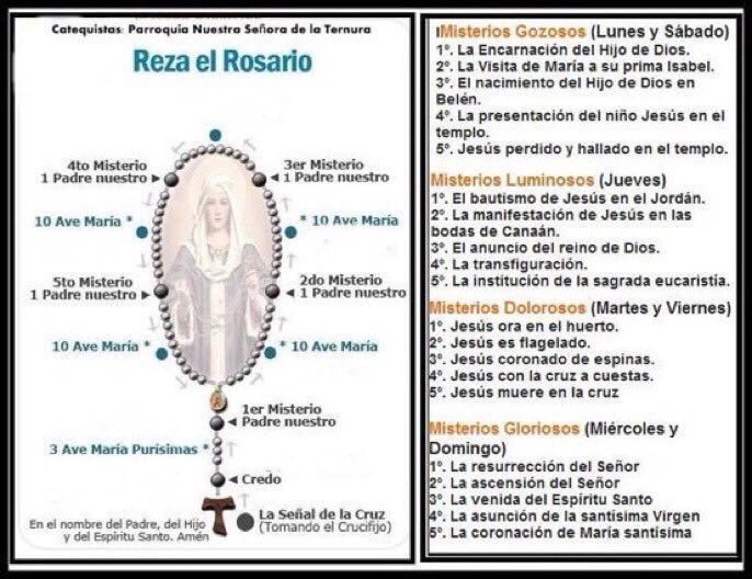 lopezpadilla7's tweet photo. Si todos los católicos, rezáramos el Santo Rosario diariamente, como pedido por la Virgen, no habrían guerras, pandemias ni ningún mal que aquejan hoy a la humanidad. Unámonos todos los días,  es el arma más efectiva. https://t.co/g6Z8J7JIDv