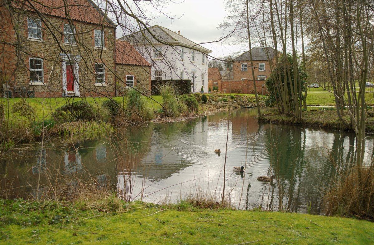 mjwalker_soft's tweet photo. 村の池　池の村
おとぎ感伝わるな？
#NorthStainley #NorthYorkshire #Yorkshire https://t.co/cxX9T2mkhV