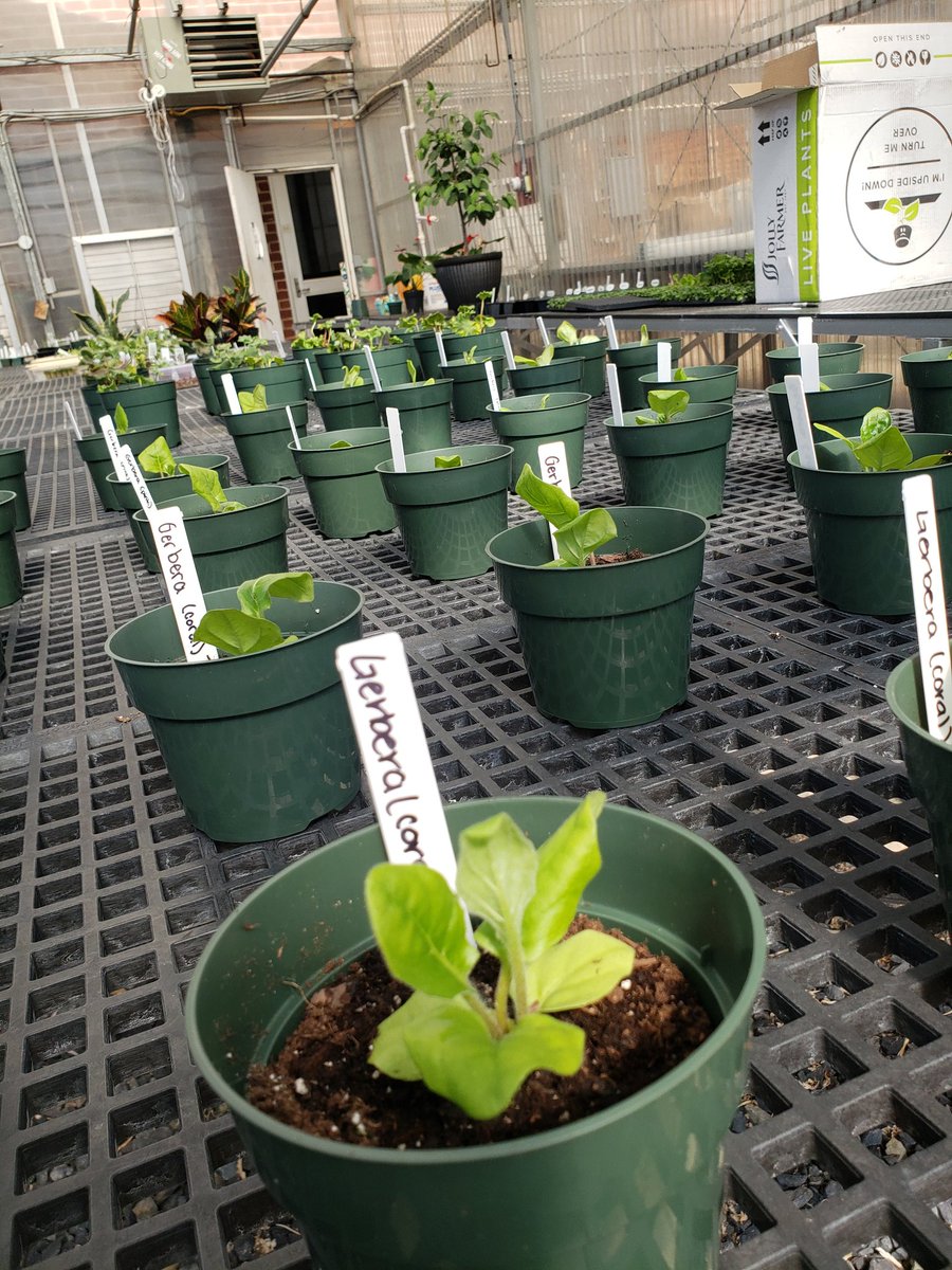 Jenna Timmons Scott tweet media