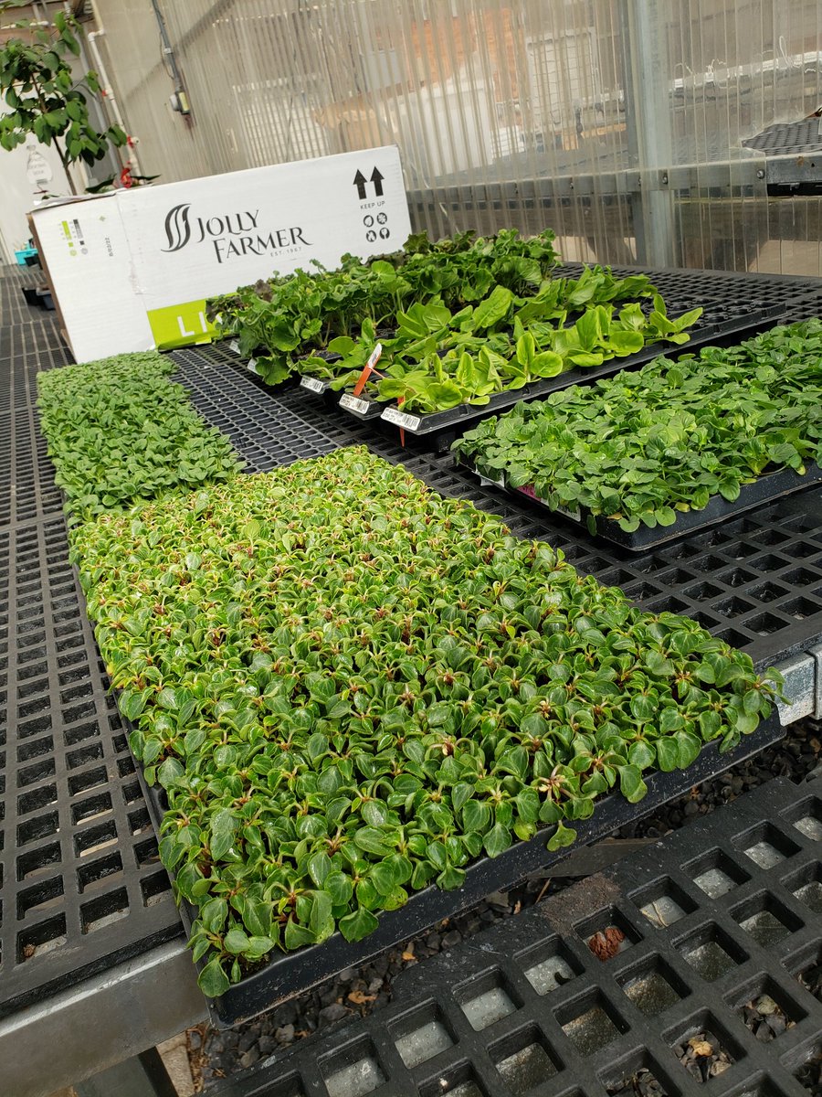 Jenna Timmons Scott tweet media