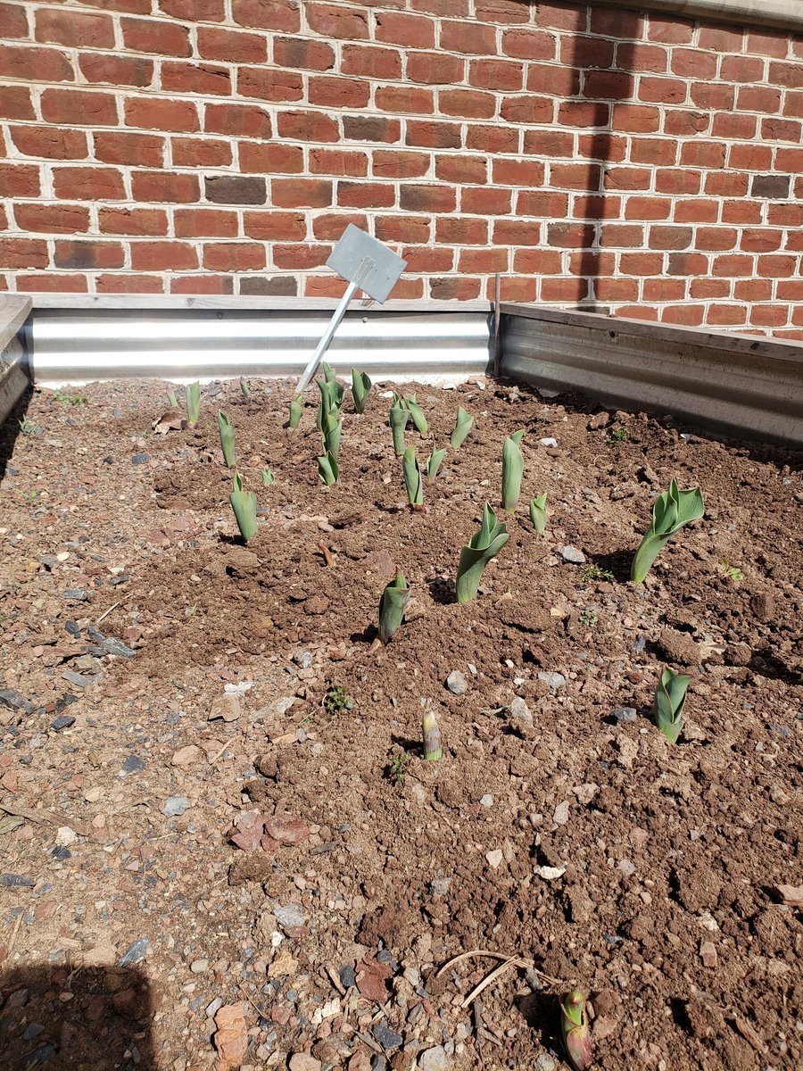 Jenna Timmons Scott tweet media