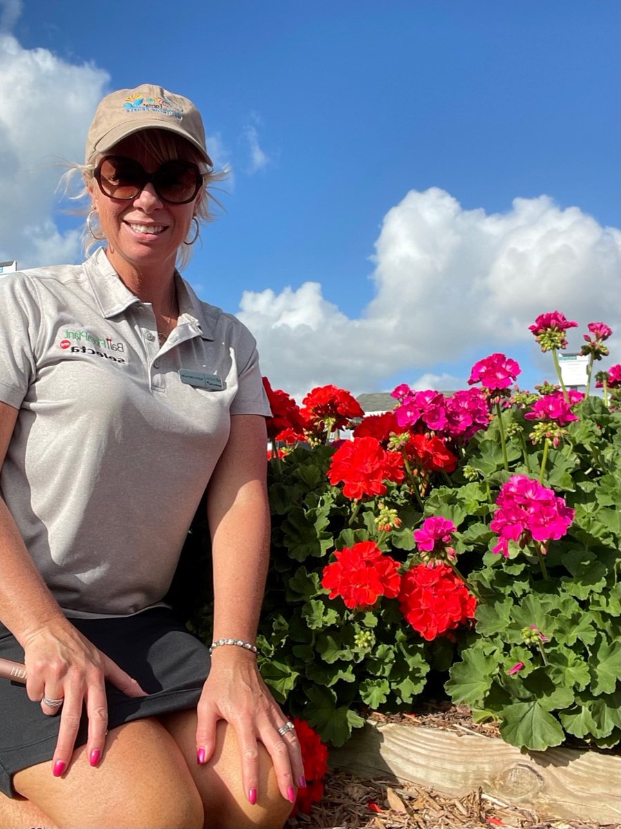 TanyaCBloomDiva's tweet photo. Galaxy Geraniums are out of this world at Costa Farms Season Premier! https://t.co/qm6ZNbRvOH via @YouTube #lethopebloom #bloomdiva @BallFloraPlant #geraniums #whatsblooming https://t.co/IchzFWBXSi