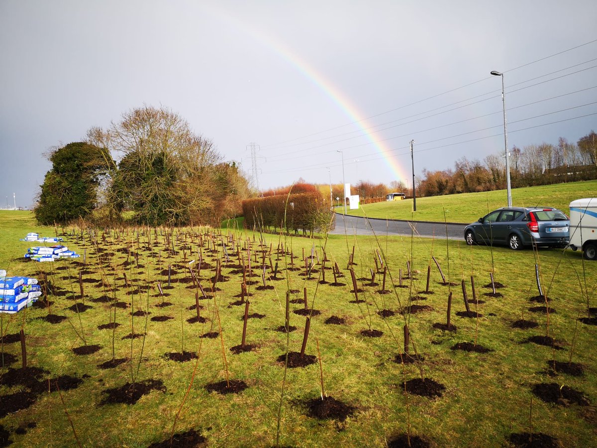 Absolutely super international women’s day <a href="/TUDublin_BN/">TU Dublin Blanchardstown</a> #Horticulture division. Tree planting funded by #AWSCommunity with thanks to staff, students, community groups for planting throughout the day. <a href="/TUDBgreencampus/">TUDublin Blanchardstown Green Campus</a> #greenweek
