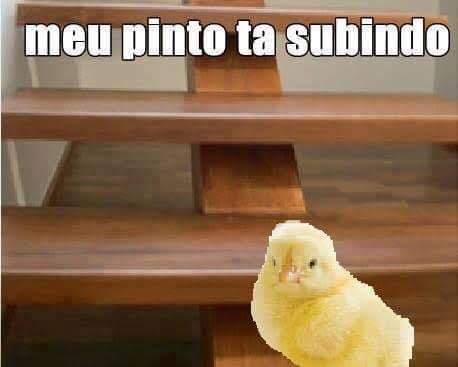 eu acendo um beck https://t.co/sZOvkPgFmU
