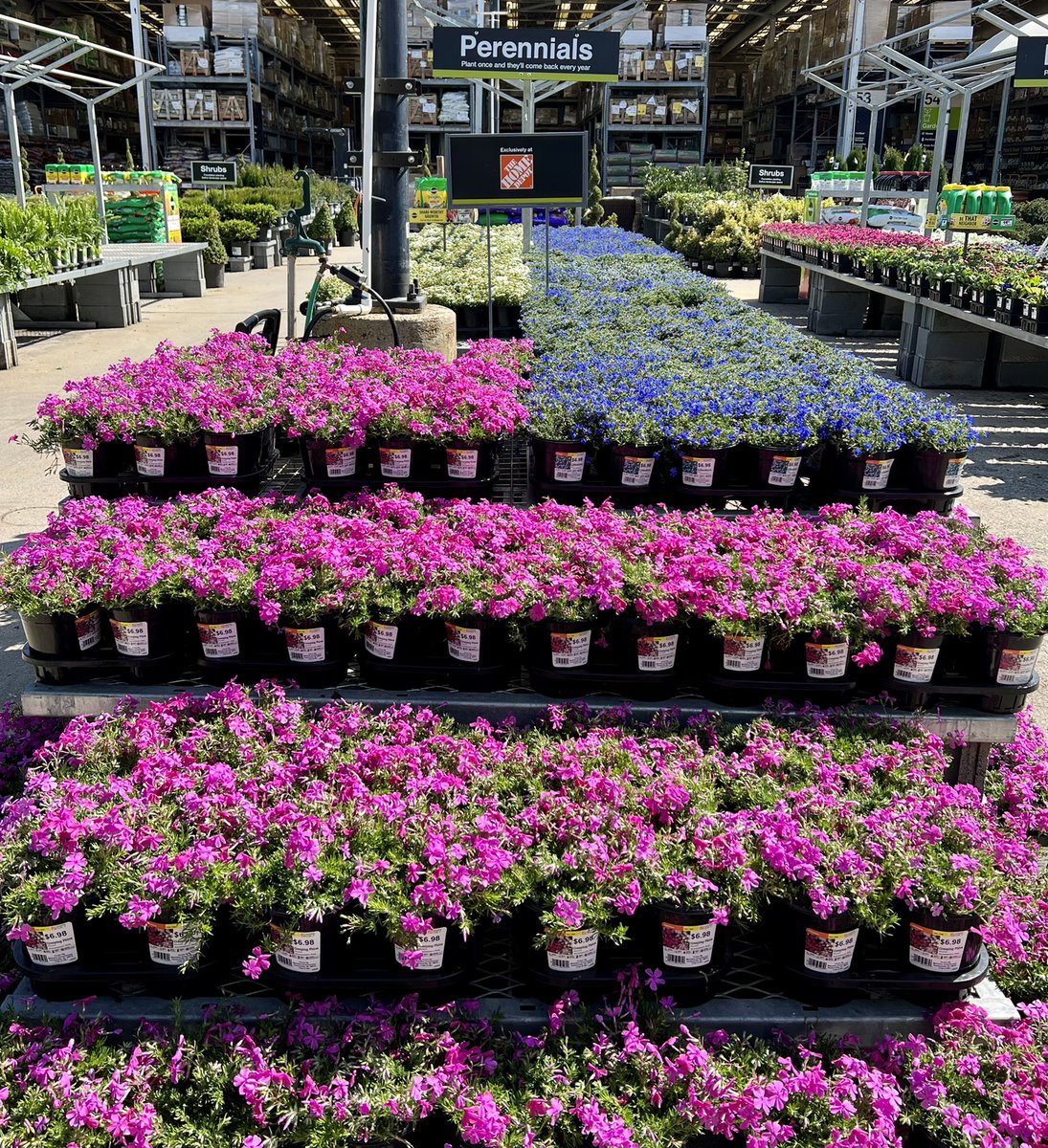 shanecombscobb's tweet photo. Spring had sprung at #HD3608 ! Did I mention how much I love delivery days? @pps_s_atlantic @PPSinHD @JarrettBennett3 #metrolinaproud https://t.co/SrXawjfnK1