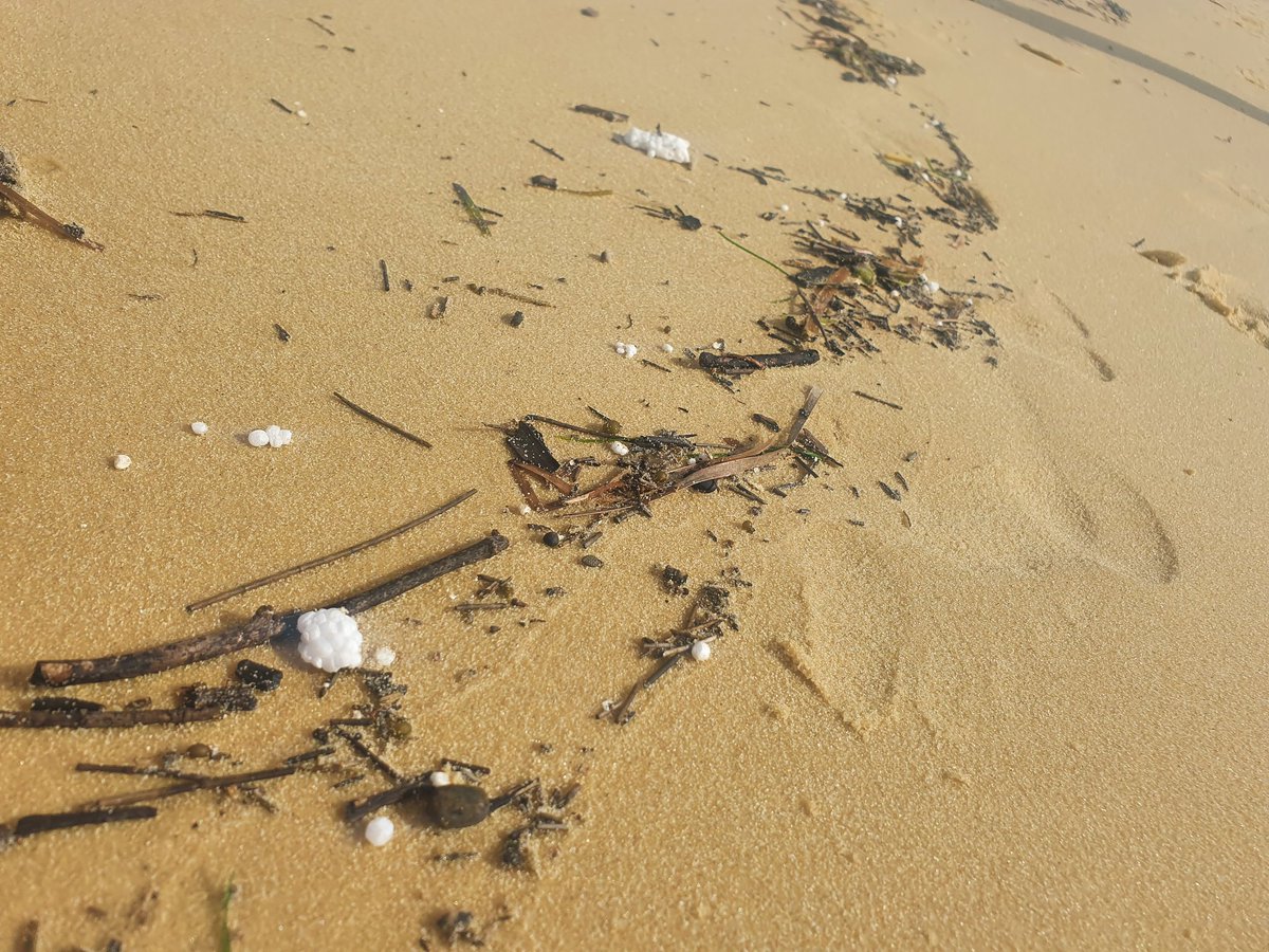 Millions of styrofoam balls along the beach on Moreton Island. And the dolphins haven't been turning up to Tangalooma to feed since the #qldfloods