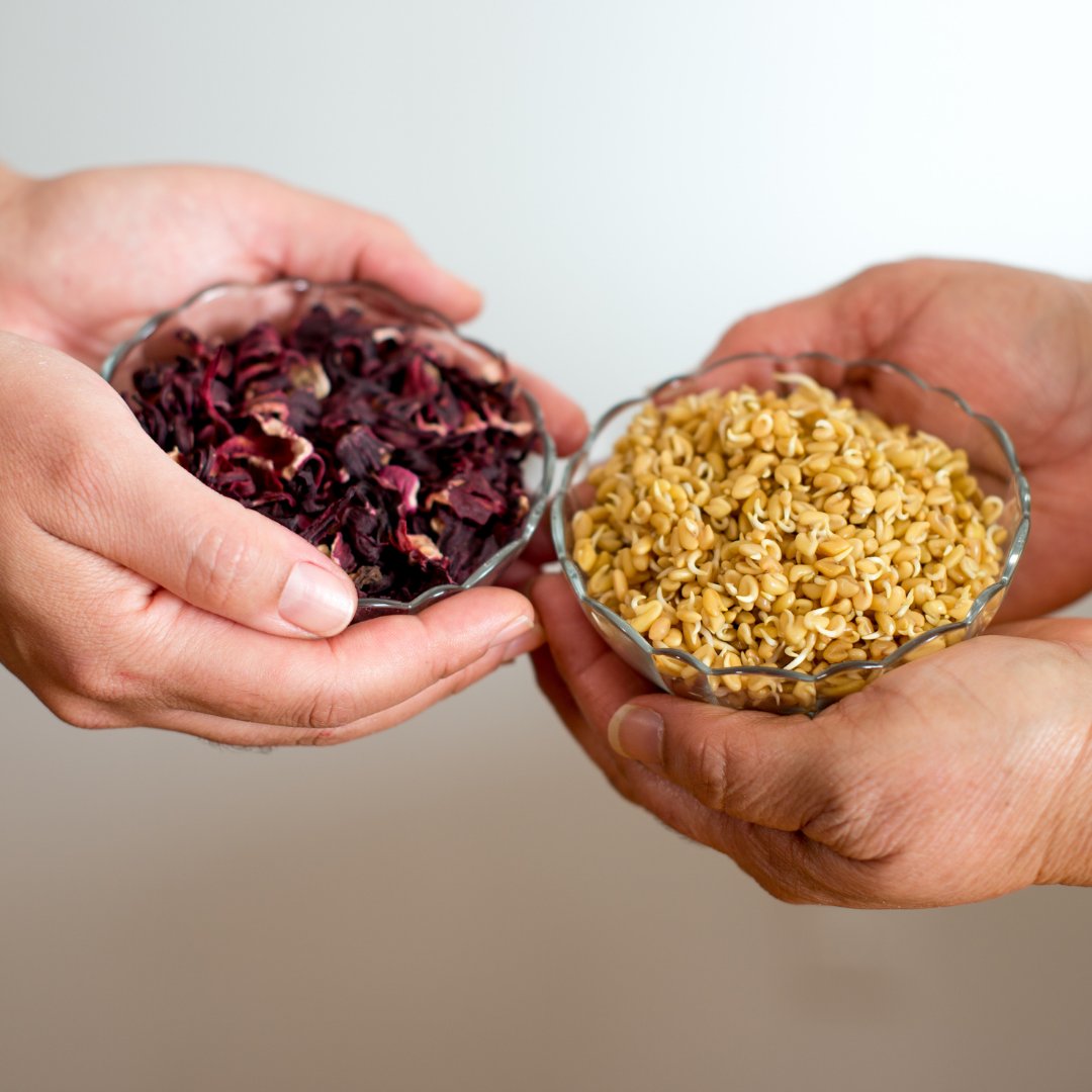 ✨NEW✨ Workshop Series Coming this Month! - 3/16 Wellness Wednesday: Healthy Immune System &amp; 3/27 No-Dig Garden: Train-the-Trainer Workshop Series 🌱 - mailchi.mp/753b0e49c73f/s…