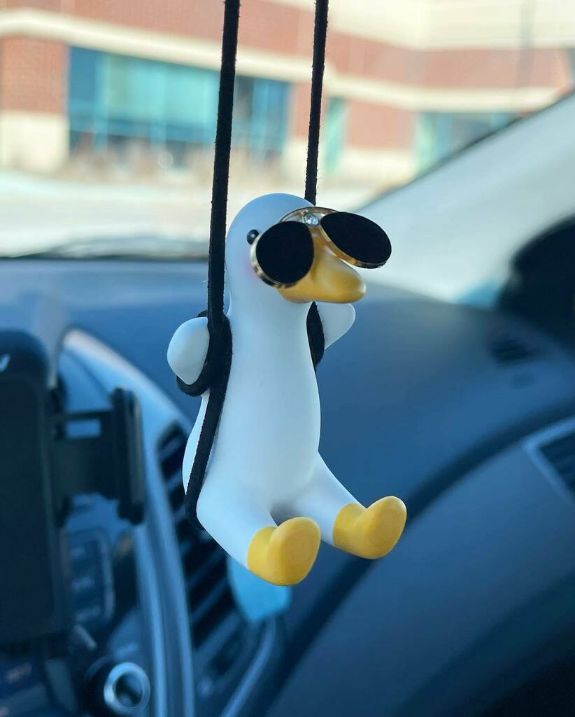 Jess_Out_Loud's tweet photo. Because sometimes you just need a duck wearing sunglasses on a swing to be your copilot. 🤷‍♀️ At least I do, anyway. https://t.co/iOmDZmwE8x https://t.co/EFb7dtnFuV
