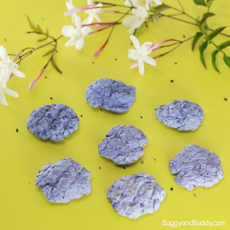 AloericSchool's tweet photo. Eco art club started this week and the children used scrap paper to make their own seed bombs 🌱 #ecofriendly  #savetheplanet https://t.co/P7tS747nYG
