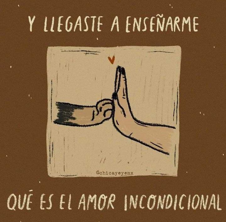 pmarzo1's tweet photo. 🦮 ADIOS PANCHO MI GRAN AMIGO, COMPAÑERO DE VIDA Y AVENTURAS, ME LO HAS DADO TODO Y NO ME PEDISTE NADA. 
🌺 SIEMPRE EN MI CORAZÓN 🌺 https://t.co/OGkgdqsfbY