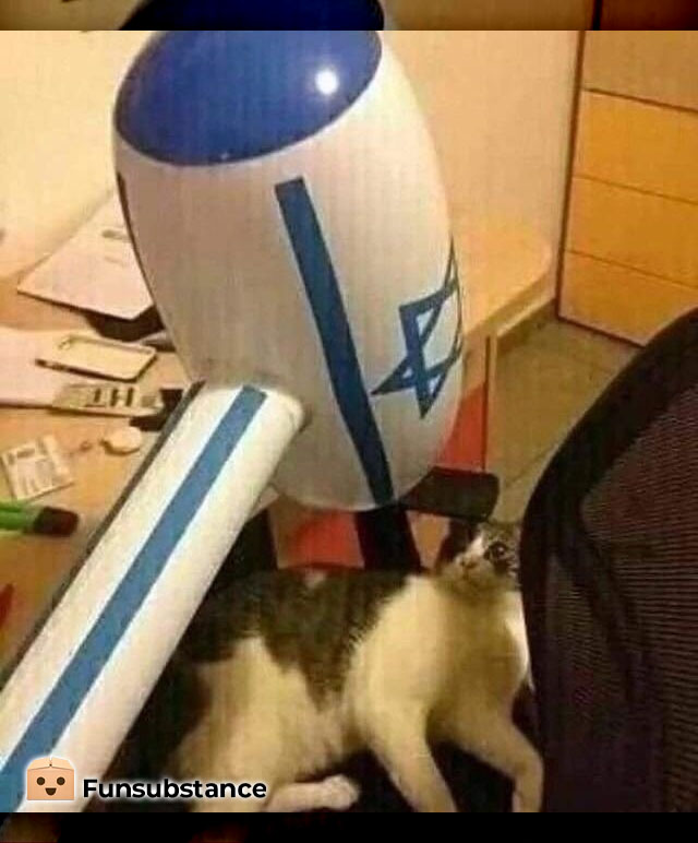 FunSubstance's tweet image. The world according to Hitler 😹

funsubstance.com/fun/637952/the…

#FunSubstance #Fun2022 #Fun #FunSubstance2022 #FunnyMemes2022 #Historic #Memes #Cat #FunnyCat #World