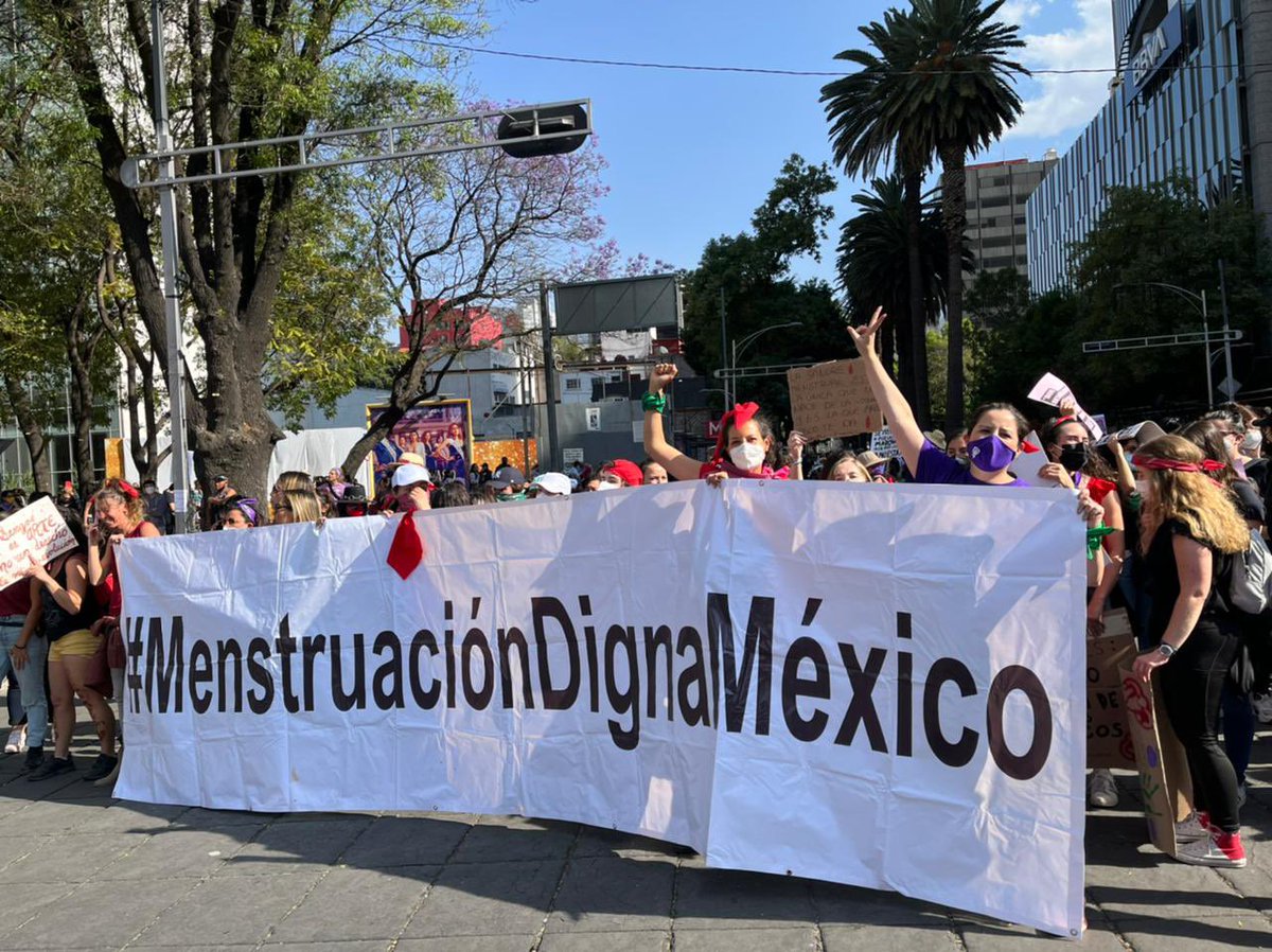 digna_mx's tweet photo. El primer bloque rojo en una marcha de #8M en MÉXICO 🇲🇽 nuestra voz se alza para exigir que la menstruación digna sea un derecho y no un privilegio 🩸❤️✨ https://t.co/VEC0HYlQvN