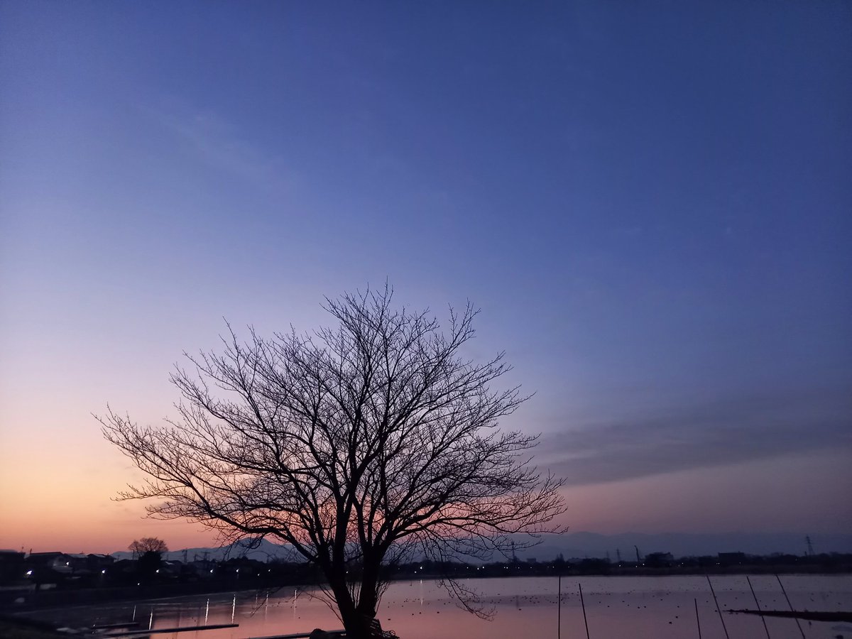MegeY64's tweet photo. #sorayo
#江津湖の空
2022.3.9 https://t.co/KDH9TOTTnS