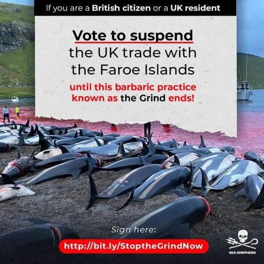 AnimalPartyIE's tweet photo. 2 weeks to get petition calling for trade sanctions against Faroe Islands to stop whale &amp; dolphin slaughter to 100,000 please sign &amp; share today and don't forget to click on the verification link they send or your signature won't count 🙏
https://t.co/u9LwjdkRmv
#StoptheGrindNow https://t.co/IY26VuWkAF