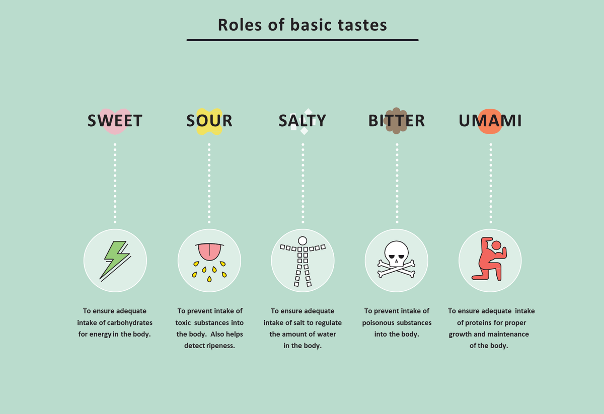 HarryGray's tweet photo. While 5 flavors occur in varying degrees in nature, the modern world has found ways to manipulate and engineer all of these tastes.  

Before I show you how "Big Food" engineered flavor into food let me show you how they engineered flavor out of the foods your body wants to love. https://t.co/1SfeuX1sY6
