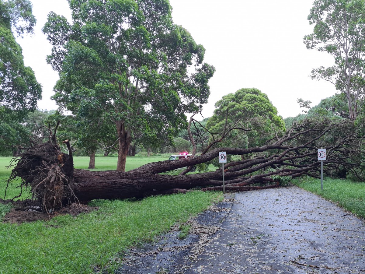 ⚠️ MARCH 9 - A severe weather event occurring across Greater Sydney is currently impacting conditions in our Parklands, forcing road closures due to tree hazards and flooding. Please rethink your visit to the Parklands today. Check our website for updates: bit.ly/3Cub1RZ