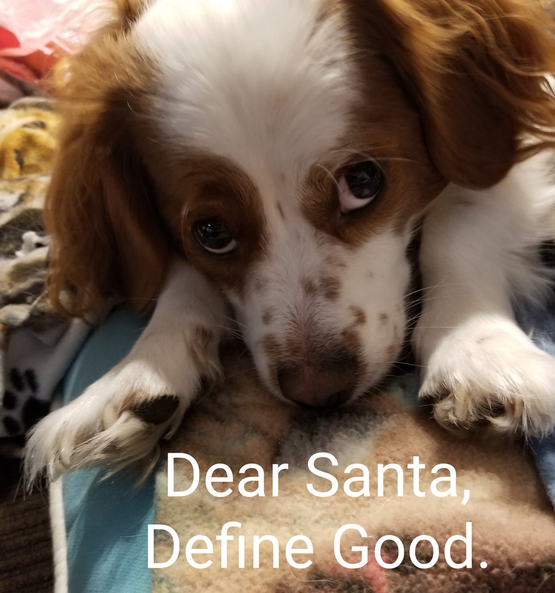 SNEFFCAart is donating all proceeds from sales on Etsy shop to HELP MAX Walk Again! Visit my Etsy Store!! etsy.com/people/BlueBon…