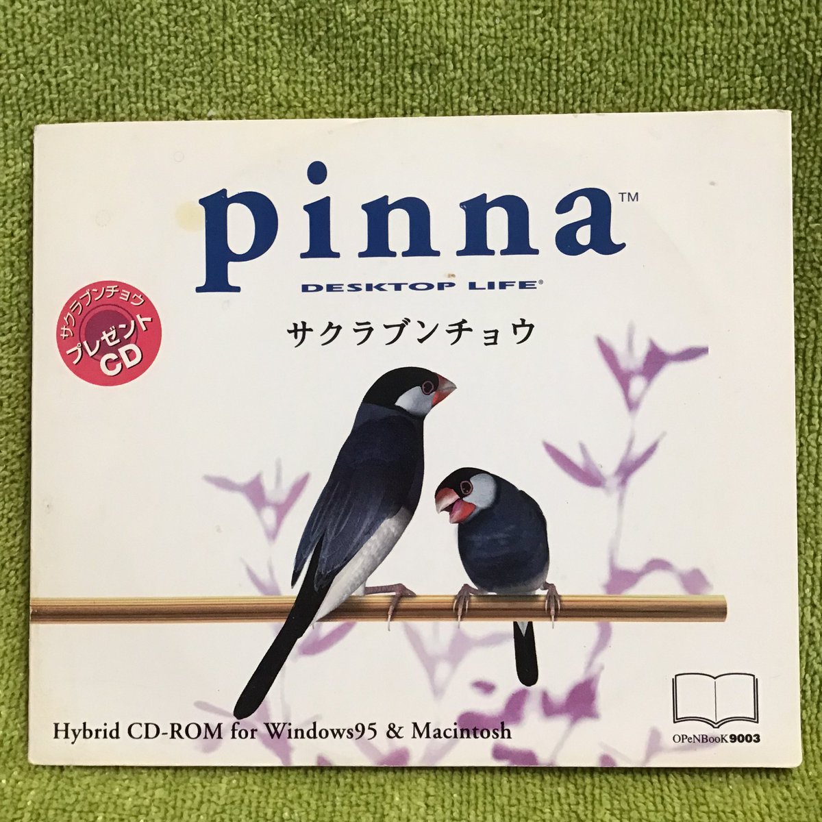 Pinna DESKTOP LIFE www.expressinter.com