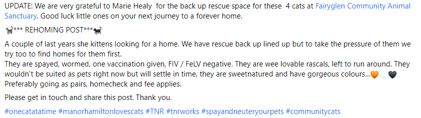 AnimalPartyIE's tweet photo. Could you share this post, please? UPDATE: We are very grateful to Marie Healy for the back up rescue space for these 4 cats at Fairyglen Community Animal Sanctuary. Good luck little ones on your next journey to a forever home.
🐈*** #REHOMING POST***🐈⬛ #onecatatatime #TNR https://t.co/rDtjnsmRNU