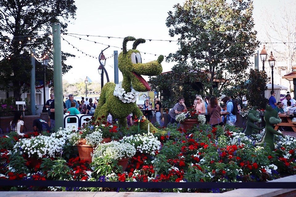 parkchums's tweet photo. These pics are from the Epcot International Flower and Garden Festival. 🌸 We ate some really fun food and looked some really awesome topiaries along the way. 

Link to video: https://t.co/zi5scNsu43 🤩 

#parkchums #vlog #vlogger #blog #blogger #food #eat #festival #disney #wdw https://t.co/MljOw3NzxU