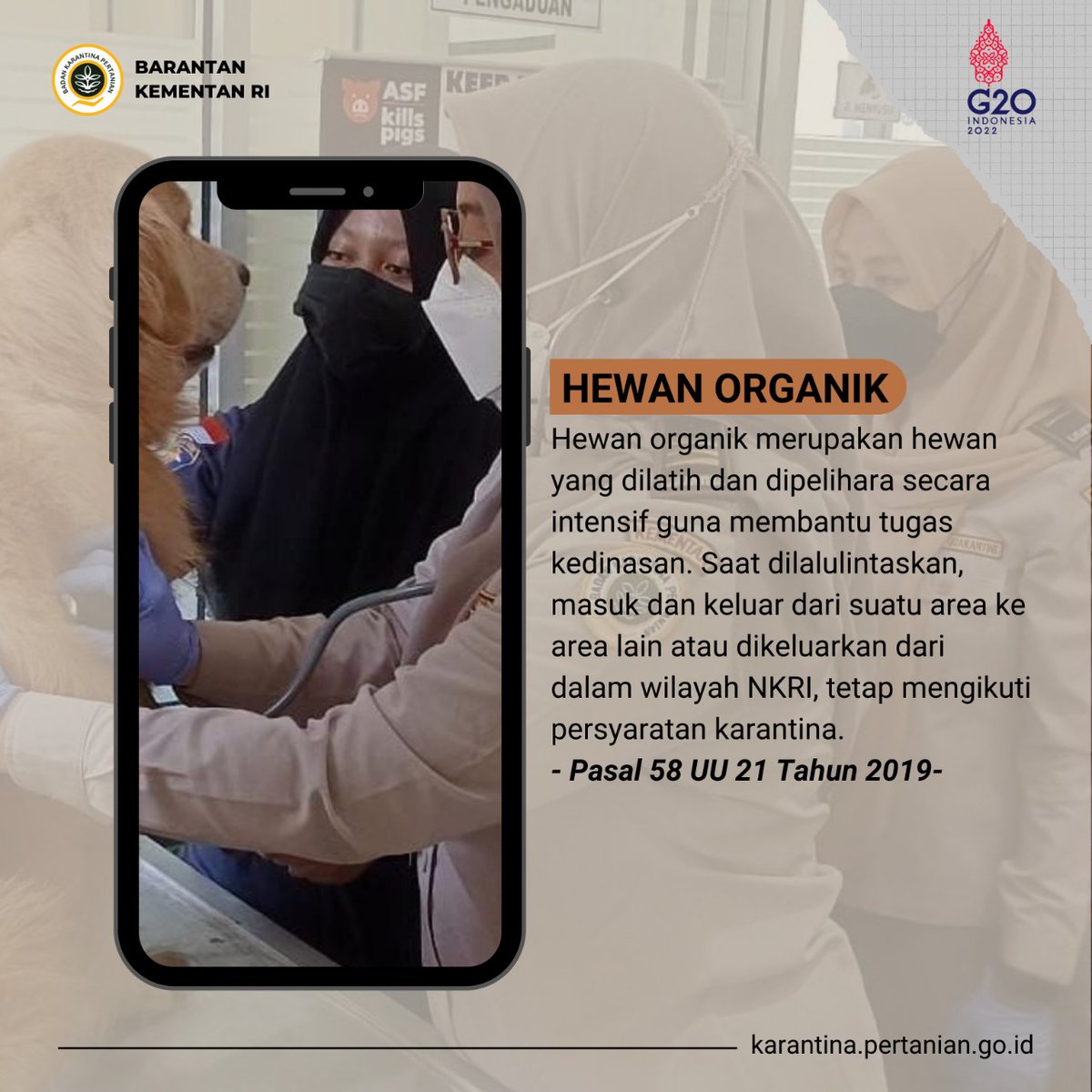 BarantinRI's tweet photo. SobatQ, 

Hewan organik merupakan hewan yang dilatih &amp; dipelihara secara intensif guna membantu tugas kedinasan.

Saat dilalulintaskan, masuk &amp; keluar dari suatu area ke area lain atau dikeluarkan dari dalam wilayah NKRI, tetap mengikuti persyaratan karantina. 

Karimin #SapaPagi https://t.co/8iH886obCC