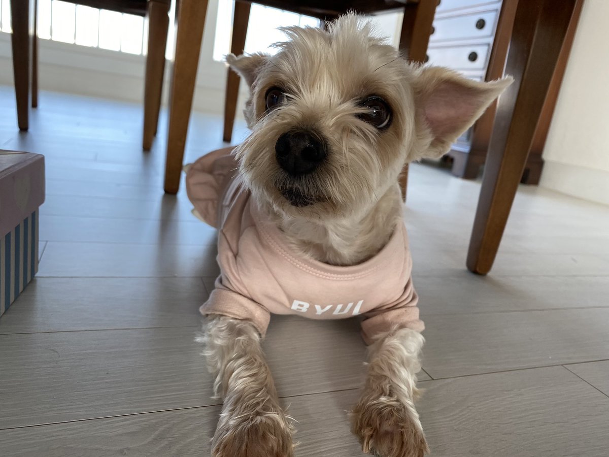kjmarchive's tweet photo. JUNMYEON 💭 UPDATE 

“Her name is BYUL” 😭😭😭😭😭😭 https://t.co/upsSdGFUDR