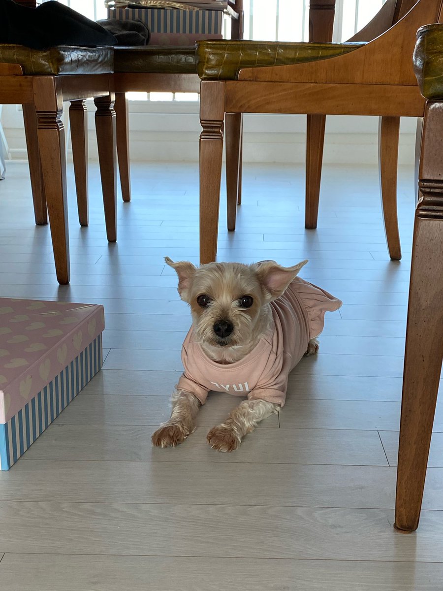 kjmarchive's tweet photo. JUNMYEON 💭 UPDATE 

“Her name is BYUL” 😭😭😭😭😭😭 https://t.co/upsSdGFUDR