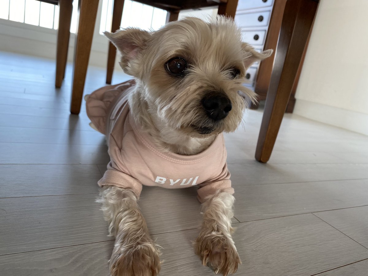 kjmarchive's tweet photo. JUNMYEON 💭 UPDATE 

“Her name is BYUL” 😭😭😭😭😭😭 https://t.co/upsSdGFUDR