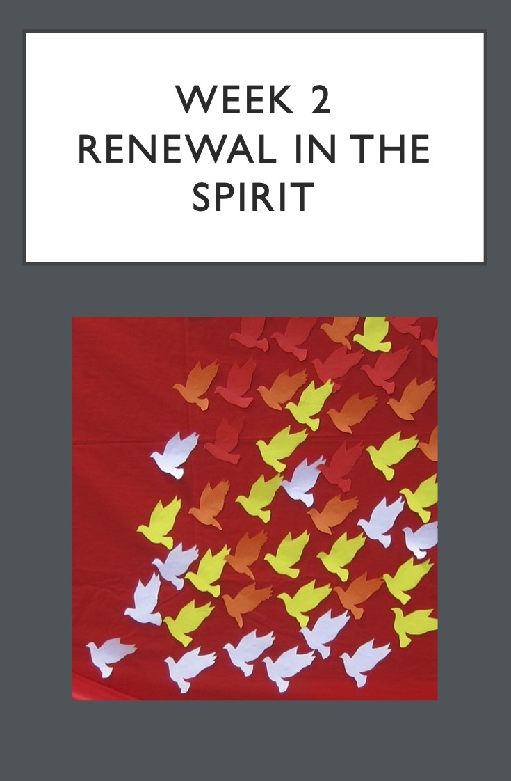 elissa_roper's tweet photo. Video for week 2 has been released for #ACCCR's "Exploring #Synodality in #Lent"!
  Scripture
  Prayer
  Reflection on *Renewal in the Spirit*

Join the 800+ people who participated in wk1.
15 minutes, in your own time, no cost.
https://t.co/2G16VTEhQg https://t.co/5I7OqfBR45