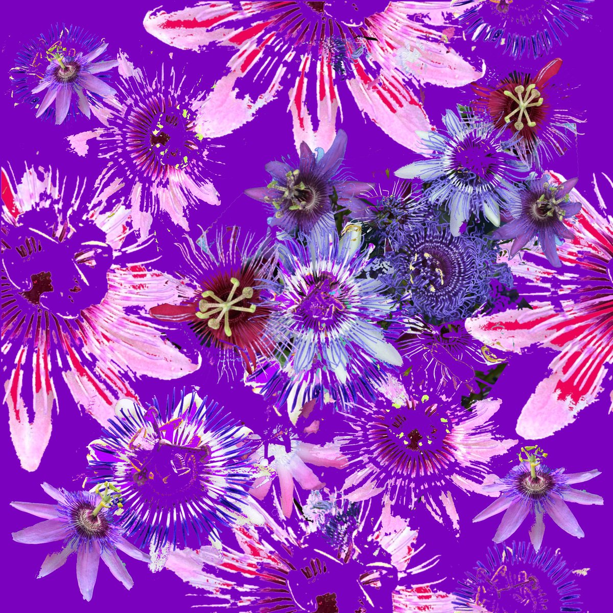 #Purple #Passionflower @nymphaeastudio #florals #wallpaper #fabric spoonflower.com/fabric/5970491 via @spoonflower
