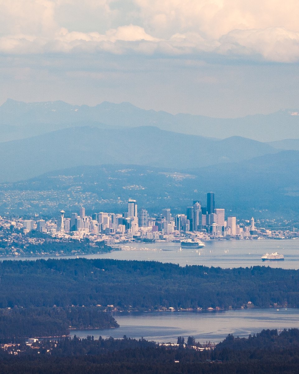 Michael Matti tweet media