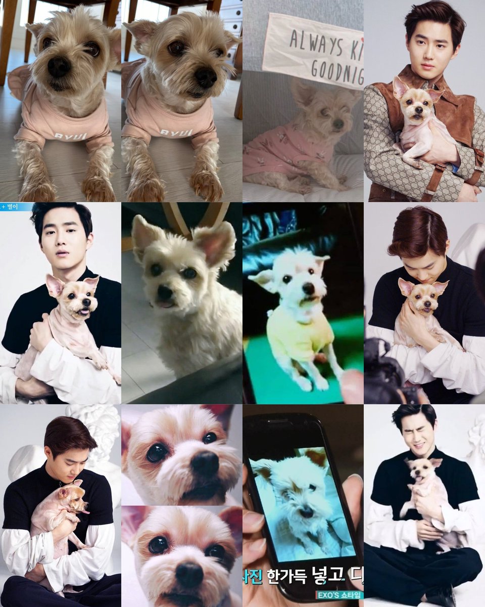indiesh2o's tweet photo. junmyeon: her name is BYUL 😭😭😭 https://t.co/7Y7tPftpr5