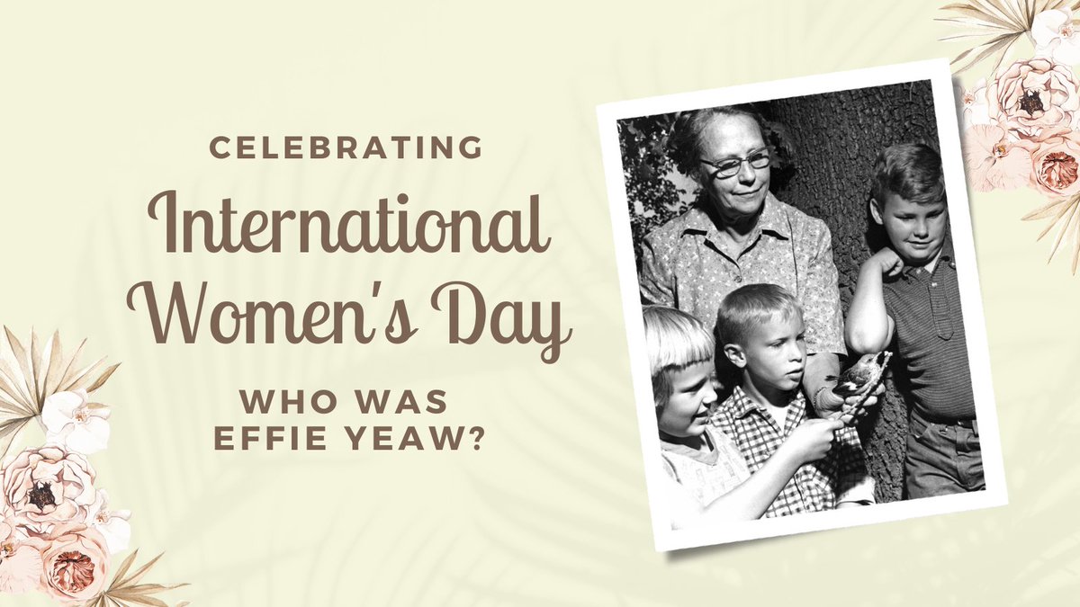 In honor of International Women’s Day and our partnershipw with  <a href="/EffieYeawNC/">EY Nature Center</a>, we're exploring: Who was Effie Yeaw? She was a teacher, nature lover, educator, conservationist and activist for the American River Parkway. #WeLoveOurRiver Learn more: ow.ly/mRJp50Iek8x #cawater