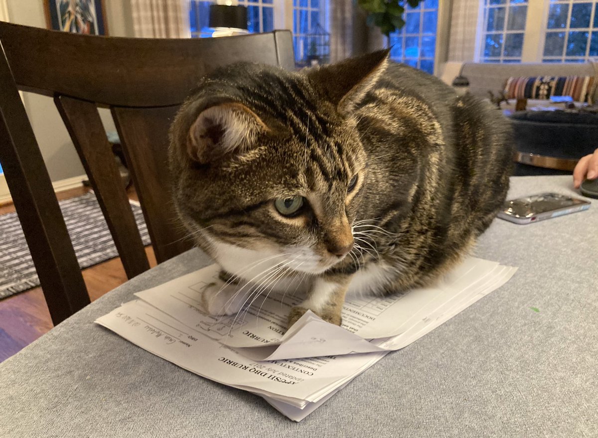 ErikAndersonMN's tweet photo. Dangerous animal keeping me from grading essays. Out of an abundance of caution, I better stop for the night. #SafetyFirst #ehsapush https://t.co/SeFkJ6TuUq