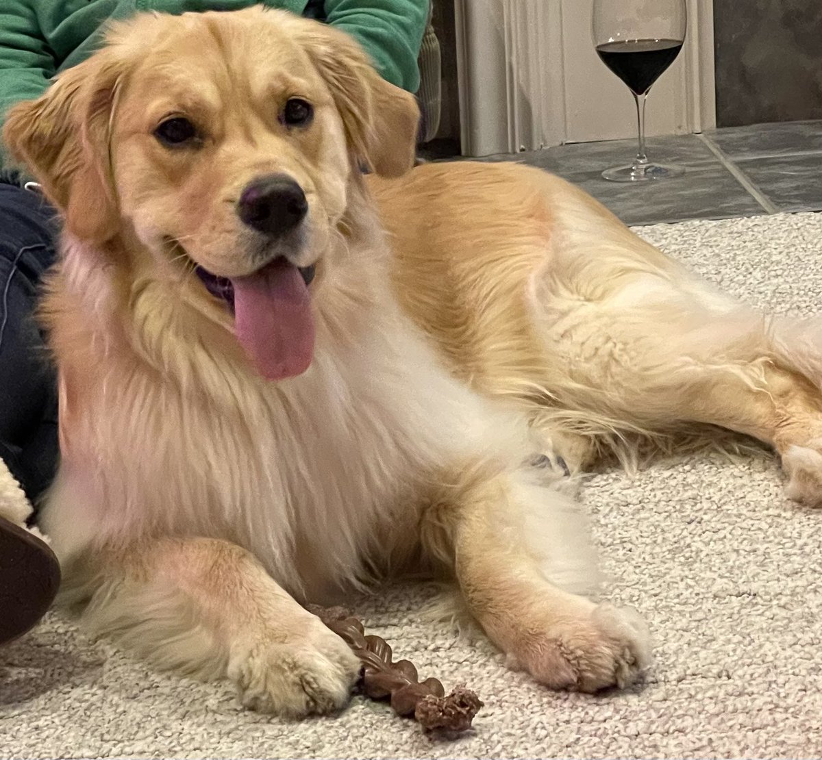 DPaluf2's tweet photo. #TongueOutTuesday,#GRC  Brixcee enters Tongue Out Tuesday!  Chillin during happy hour! https://t.co/DQEBSTMzV1