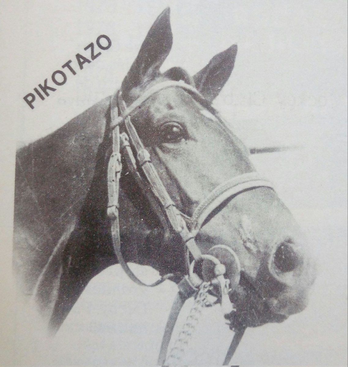 HORSERACING1002's tweet photo. Triple Crown winners GRAN ZAR #GranZar PIKOTAZO #Pikotazo CACHAVA #Cachava https://t.co/PFxWjQjUtC