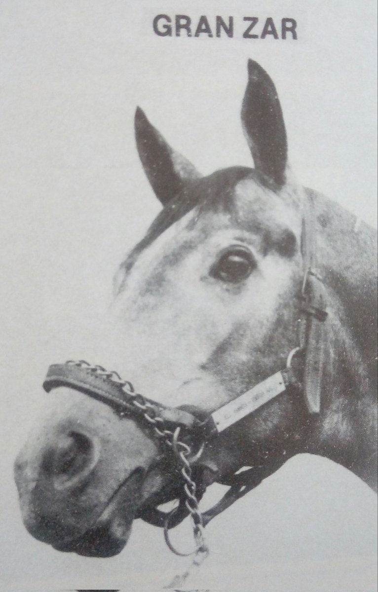 HORSERACING1002's tweet photo. Triple Crown winners GRAN ZAR #GranZar PIKOTAZO #Pikotazo CACHAVA #Cachava https://t.co/PFxWjQjUtC