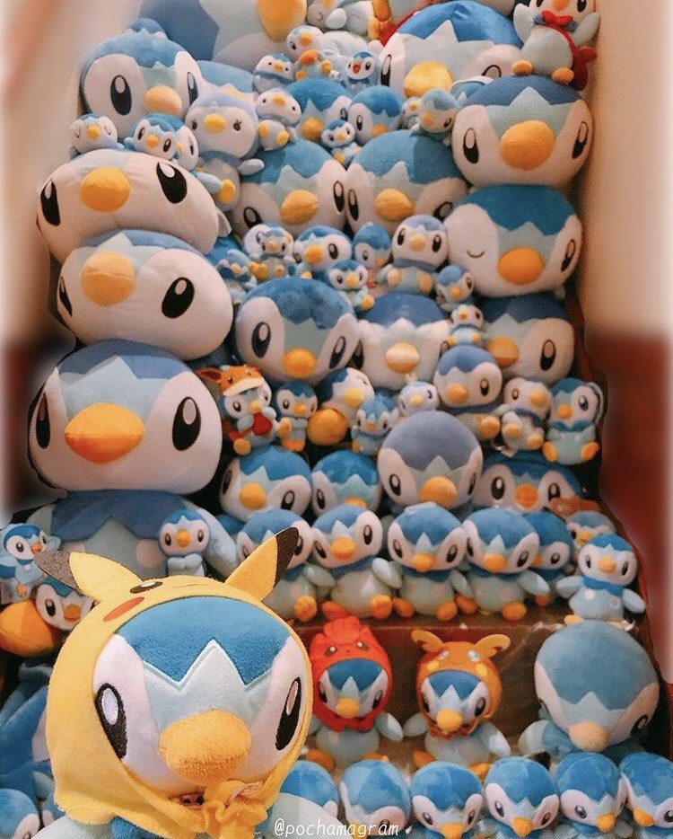 ポッチャマのぶちゃ (@pochamagram) / Posts / X