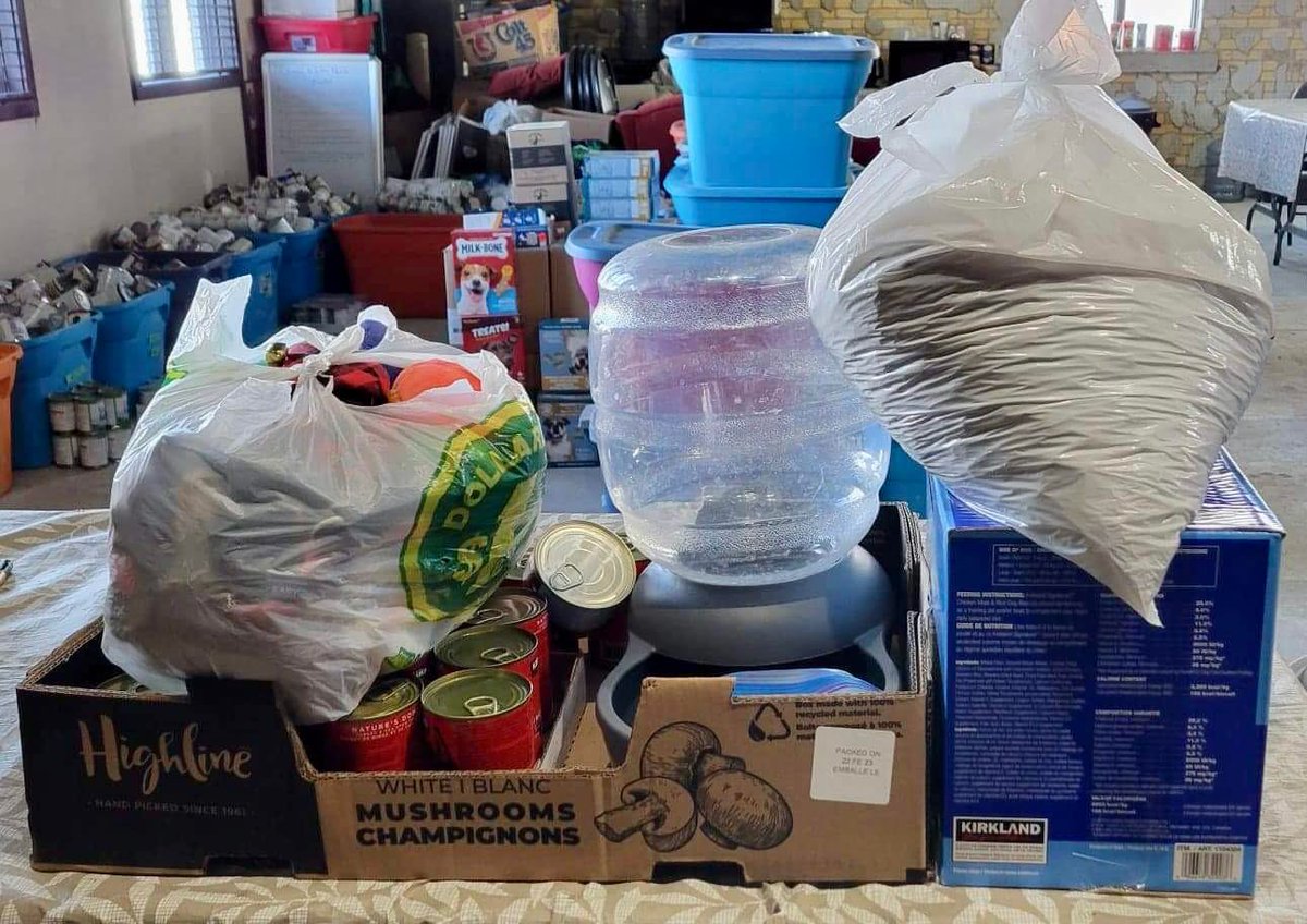 Sacredanimal_'s tweet photo. We received this #donation of dog food and supplies from Vicki T! #Thankyou so much! ❤️
#APetsPantry #APP #yeg #petfoodbank https://t.co/iJmMZTYqzA