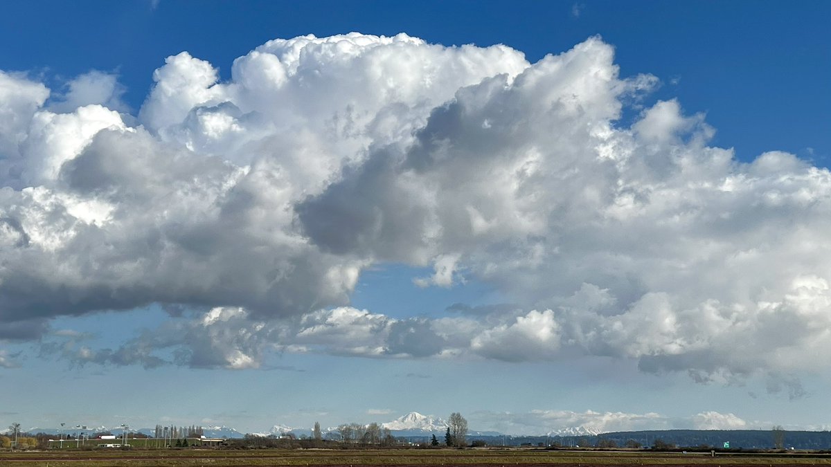RyanVoutilainen's tweet photo. I took a photo of #MtBaker/#Kulshan this afternoon…
…ok ok, I took a photo of the #Cumulus #clouds; #MountBaker just happened to be in the shot! 🌤🏔😆
#ShareYourWeather #DeltaBC #SweetCloudAction #YVRwx #BCwx #WeatherNerd #SpringIsInTheAir #SpringSkies https://t.co/gCQZF15x6A