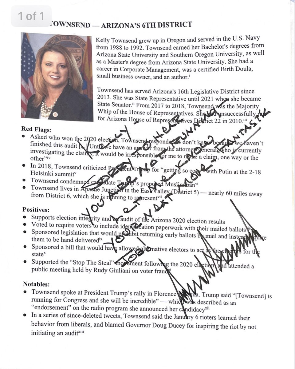 BasedPatriot73's tweet photo. So apparently Trump keeps a dossier on all Republicans running for office this election cycle.

Here’s Kelly Townsend’s: https://t.co/DxHKD5rycB